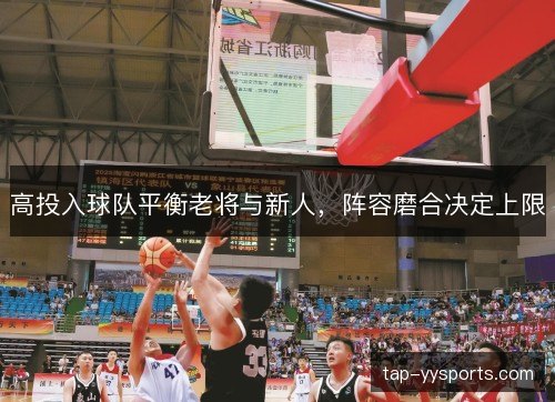 高投入球队平衡老将与新人，阵容磨合决定上限